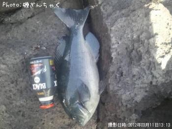 �����᥸��