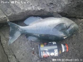 �����᥸��