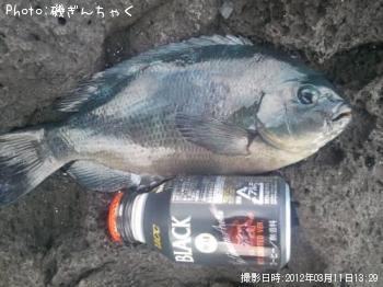 �����᥸��