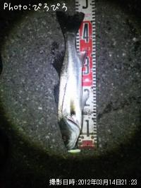 �����Х�