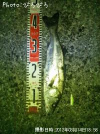 �����Х�