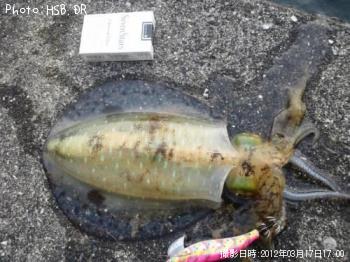 �����ꥤ��