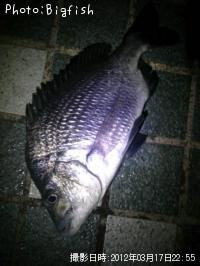 �ʥ�襦����