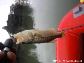 ¥Ö¥é¥Ã¥¯¥Ð¥¹