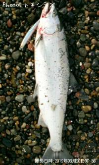 ������ޥ�