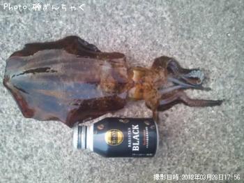 �����ꥤ��