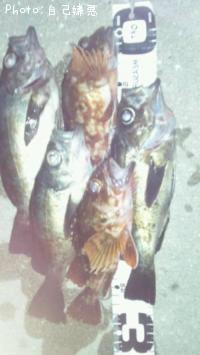 ��Х�ߣ��������ߣ�