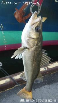 �����Х�