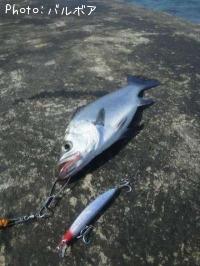 �ҥ饹����