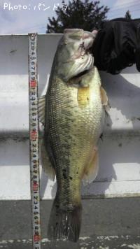 ¥Ö¥é¥Ã¥¯¥Ð¥¹