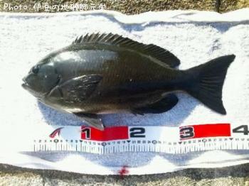 ¸ýÂÀ¥á¥¸¥Ê