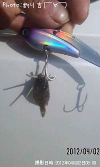 ���쥤���ҥȥ�