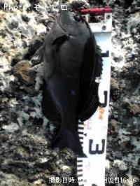 �����᥸��