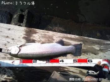 �쥤��ܡ��ȥ饦��