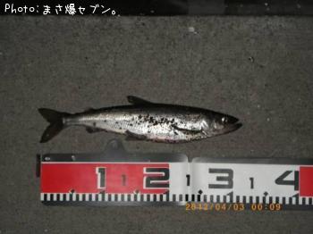 ¥¥å¥¦¥ê¥¦¥ª