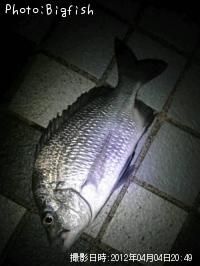 ¥Ê¥ó¥è¥¦¥Á¥Ì