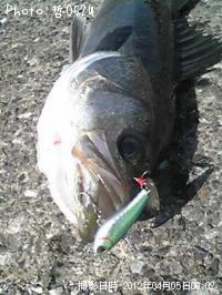 �����Х�