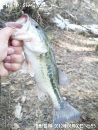 �֥�å��Х�