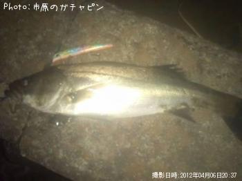 �����Х�