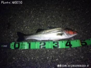 �����Х�