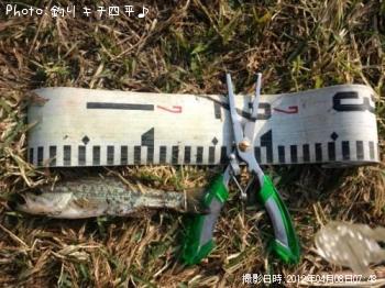 �Х������