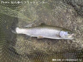 �쥤��ܡ��ȥ饦��