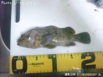 �����Υ���Х�