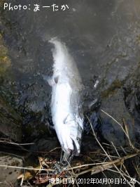 ������ޥ�