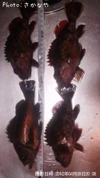 ��Х롡������