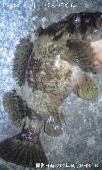 �������лҡʡ���������