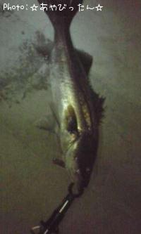 �����Х�