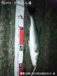 �����Х�