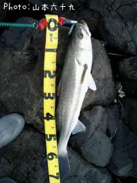 �����Х�