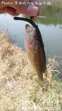 �֥�å��Х�