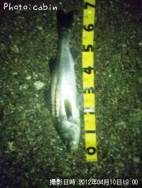 �����Х�