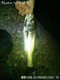 �����Х�