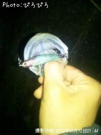 �����Х�