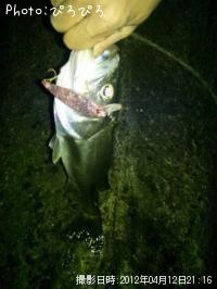 �����Х�