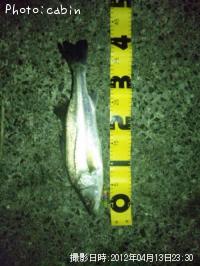 �����Х�