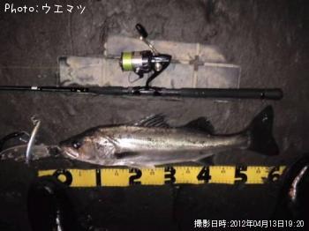 �����Х�