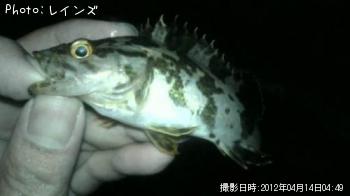 ��Х�������Υ�