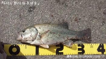 �֥�å��Х�