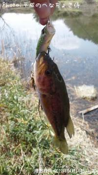 �֥�å��Х�