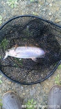 ¥ì¥¤¥ó¥Ü¡¼