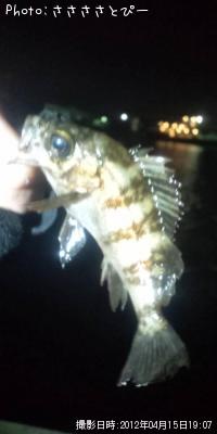 ���ꥢ��Х�