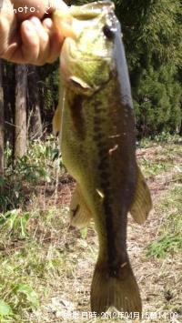 ¥Ö¥é¥Ã¥¯¥Ð¥¹