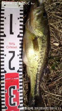 ¥Ö¥é¥Ã¥¯¥Ð¥¹