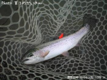 �쥤��ܡ��ȥ饦��