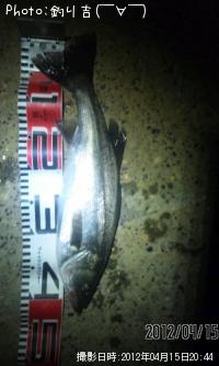 �����Х�