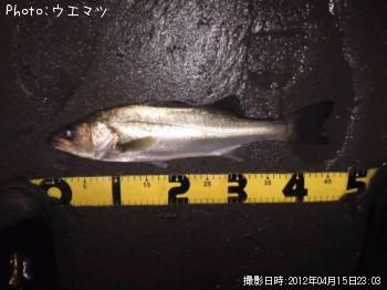 �����Х�